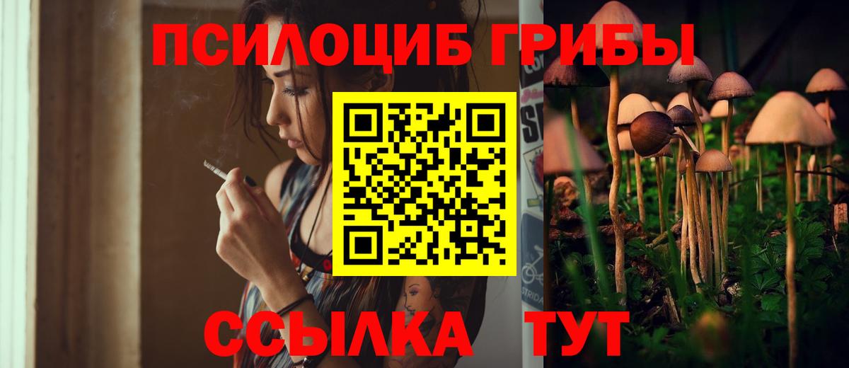 Нефтекамск  сколько стоит  Вход с VPN  Галлюциногенные грибы ЛСД 